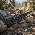 QILIN Bullpup PCP Airgun 24 inch barrel 300cc